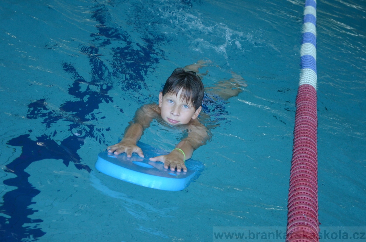 BFŠJCH - Léto 2015 - 22.7.2015