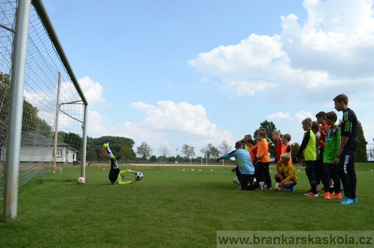 BFŠJCH - Léto 2015 - Neděle 23.8.2015