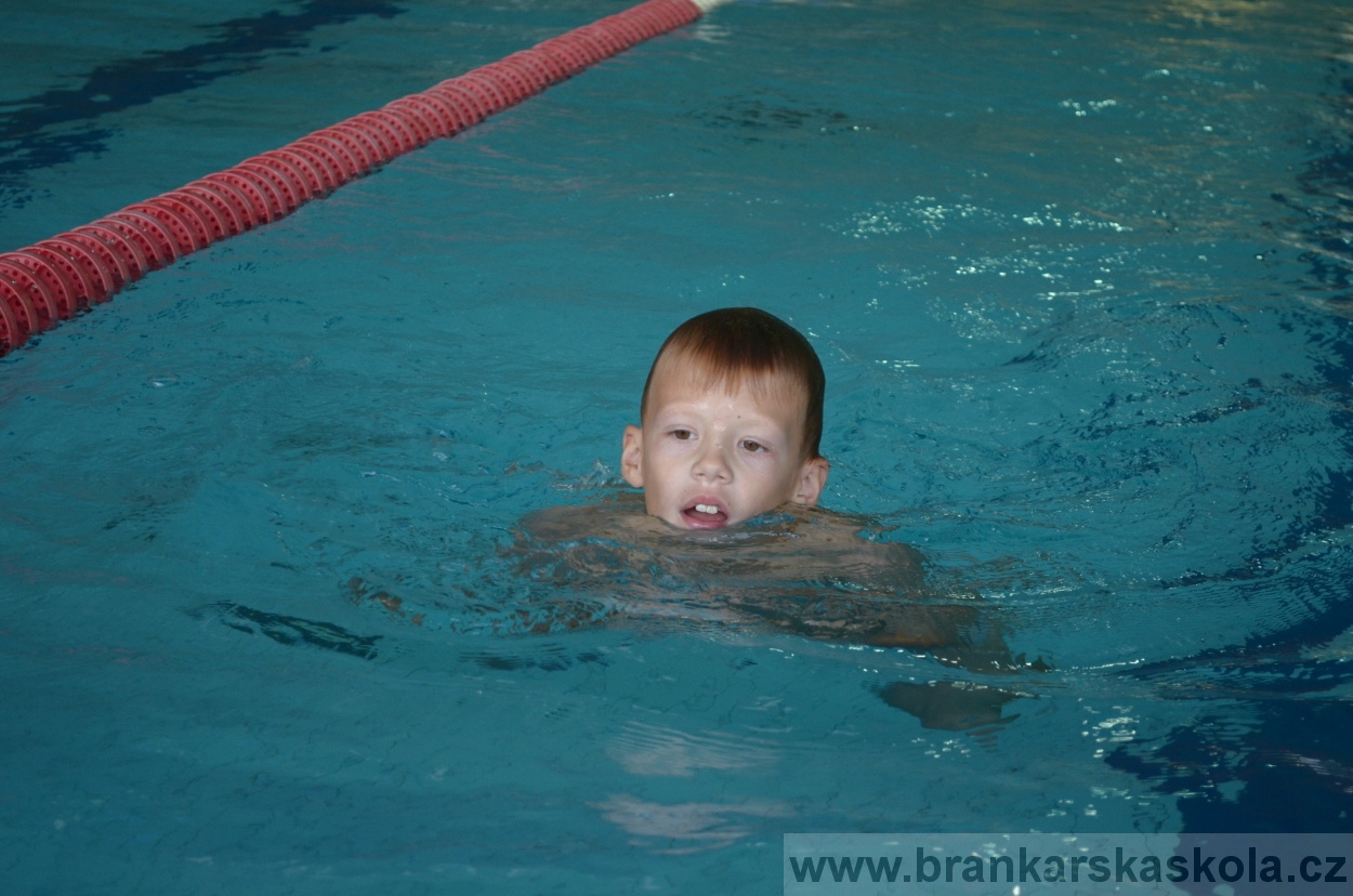 BFŠJCH - Léto 2015 - Neděle 23.8.2015