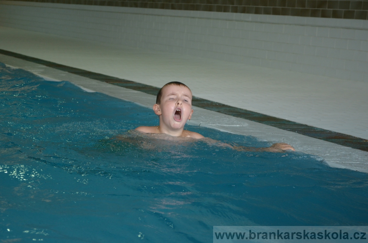 BFŠJCH - Léto 2015 - Neděle 23.8.2015