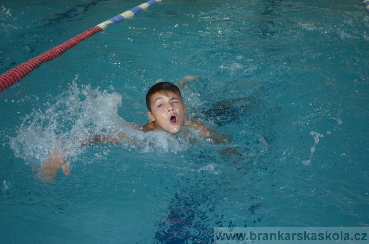 BFŠJCH - Léto 2015 - Neděle 23.8.2015