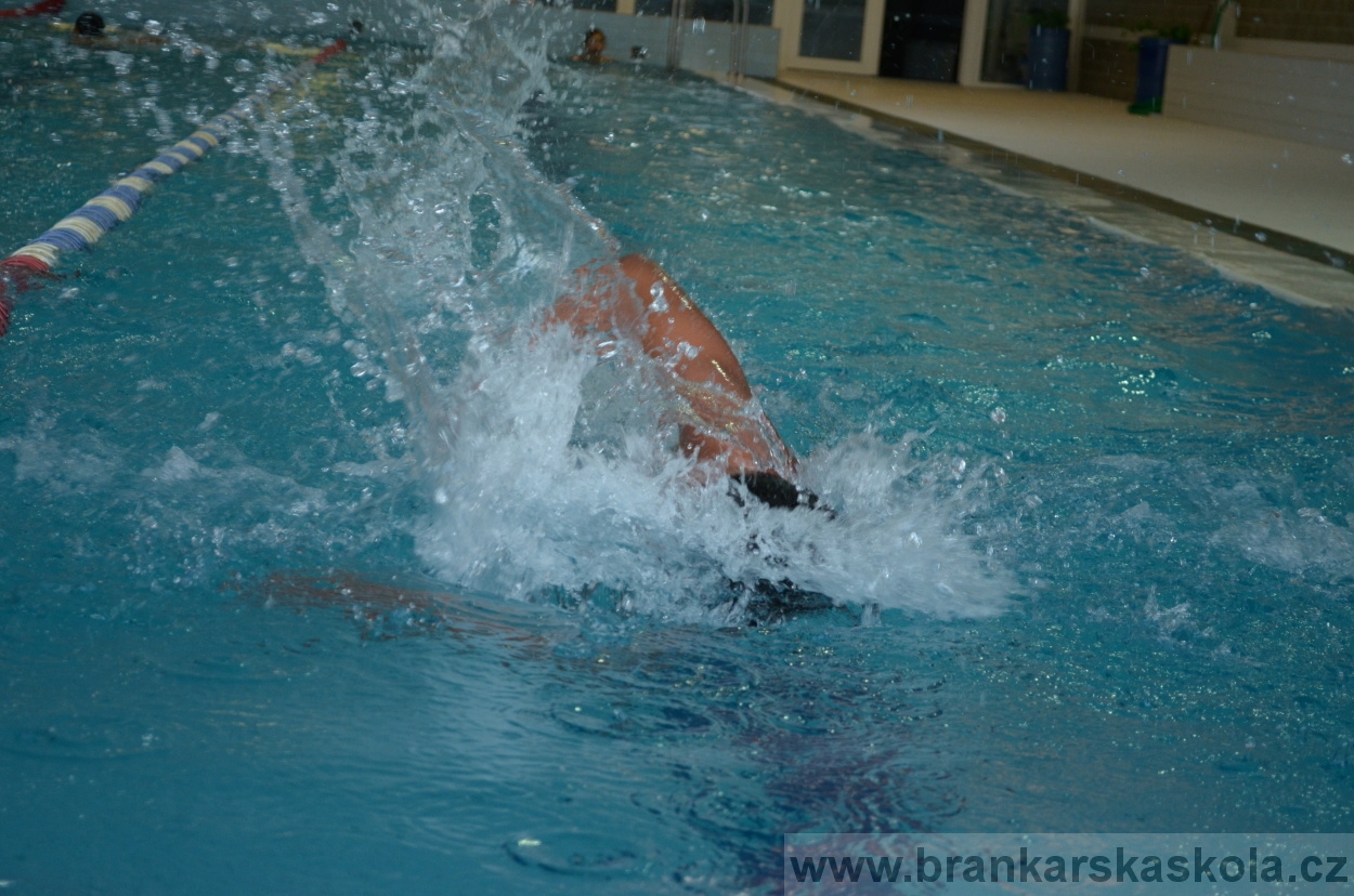 BFŠJCH - Léto 2015 - Neděle 23.8.2015