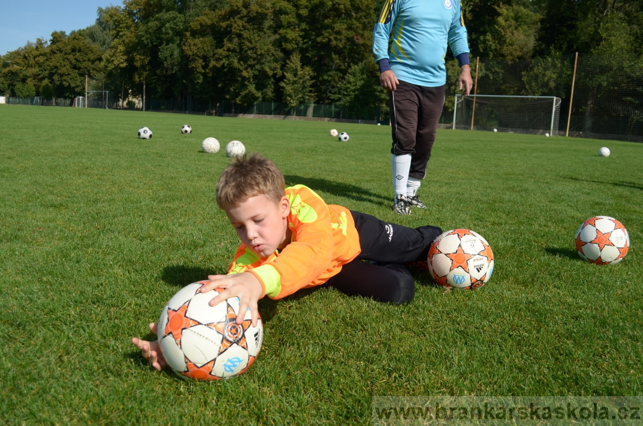 BFŠJCH - Léto 2015 - Středa 26.8.2015