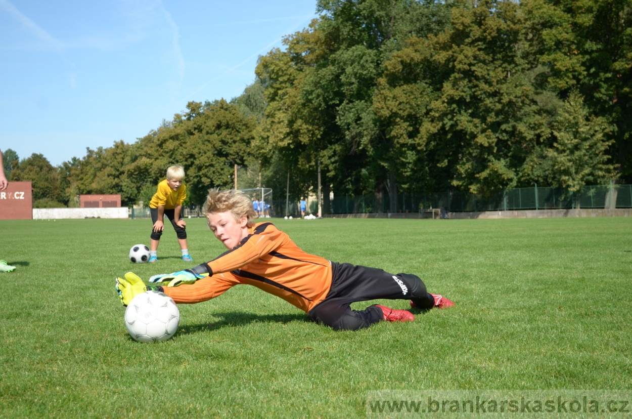 BFŠJCH - Léto 2015 - Středa 26.8.2015