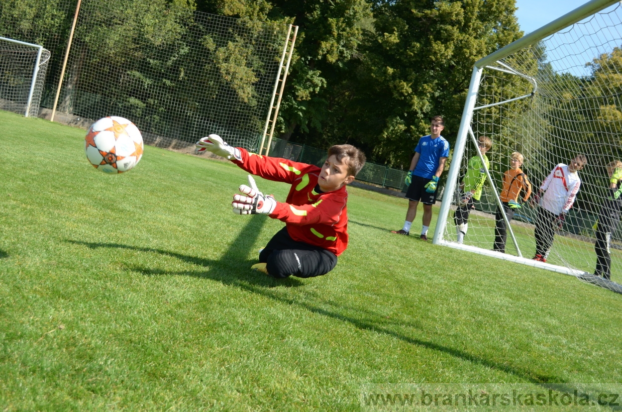 BFŠJCH - Léto 2015 - Středa 26.8.2015