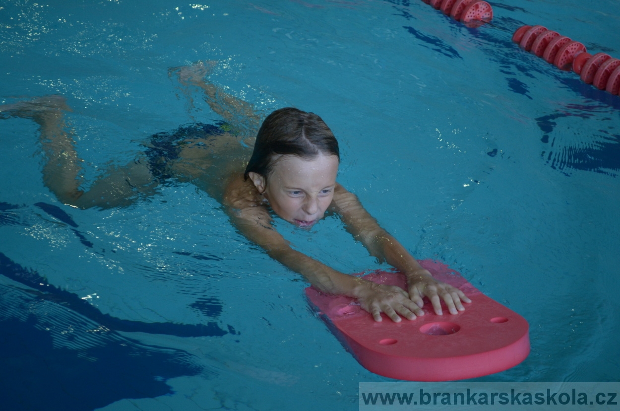 BFŠJCH - Léto 2015 - Středa 26.8.2015