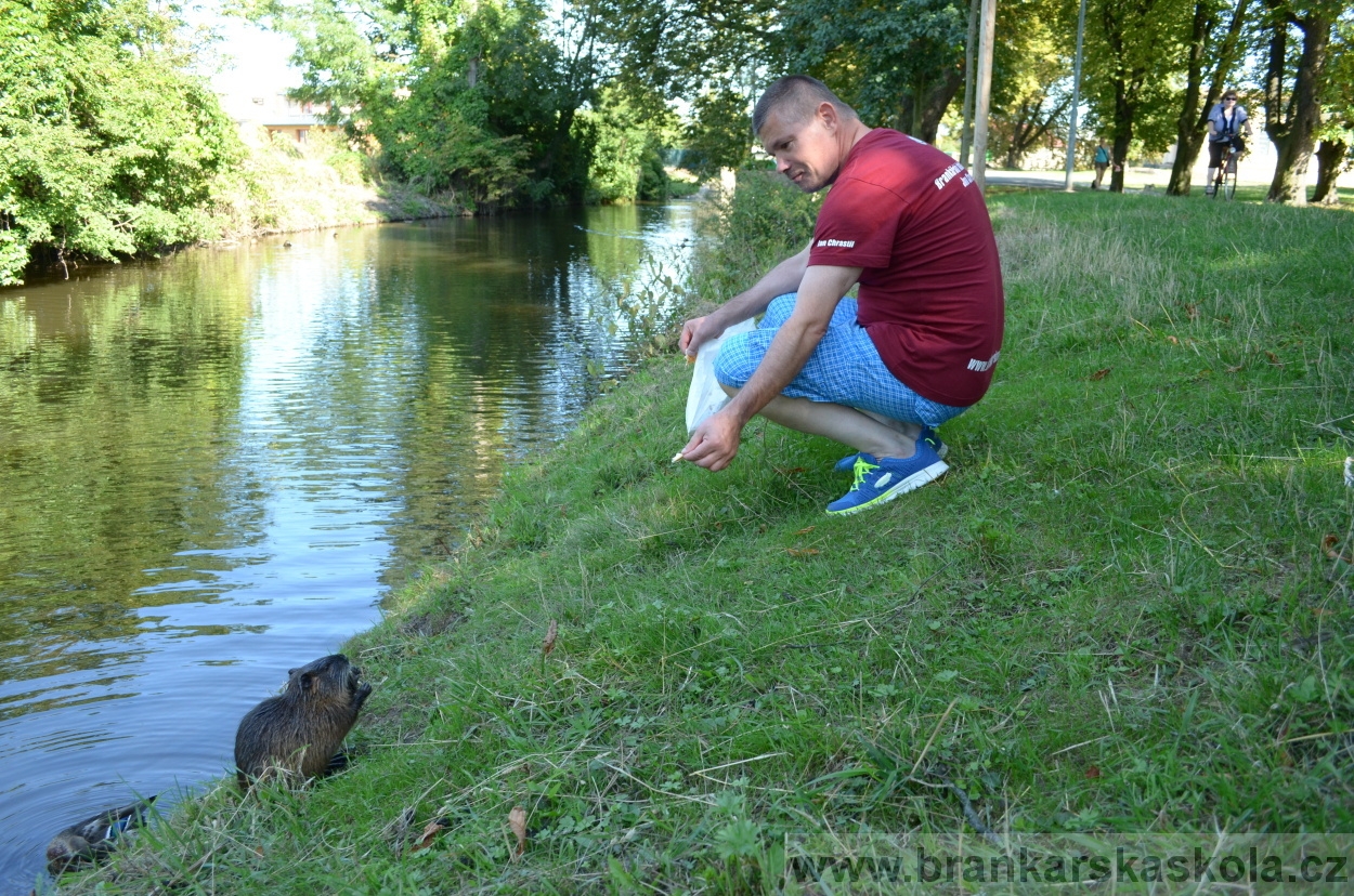 BFŠJCH - Léto 2015 - Středa 26.8.2015