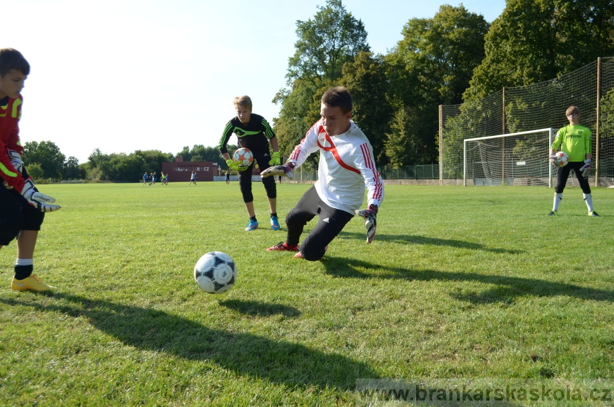 BFŠJCH - Léto 2015 - Středa 26.8.2015