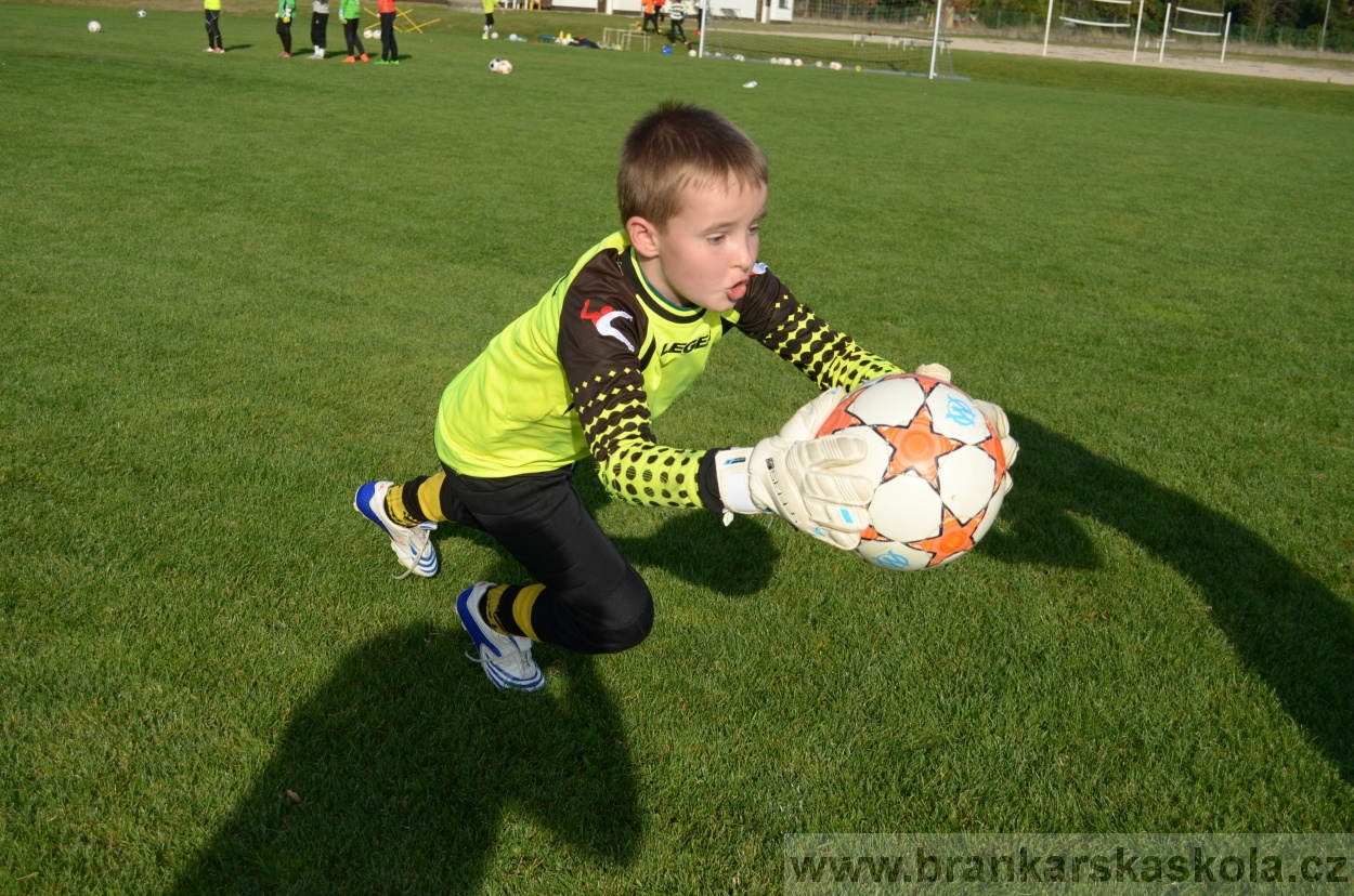 BFŠJCH - Léto 2015 - Středa 26.8.2015