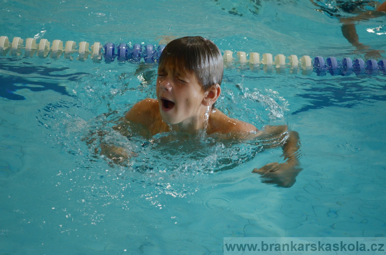 BFŠJCH - Léto 2015 - Čtvrtek 27.8.2015