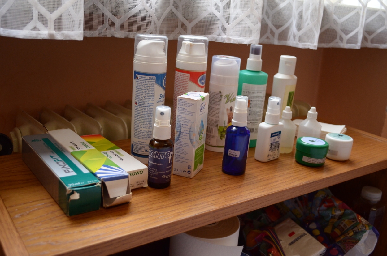 BFŠJCH - Léto 2015 - Rehabilitace