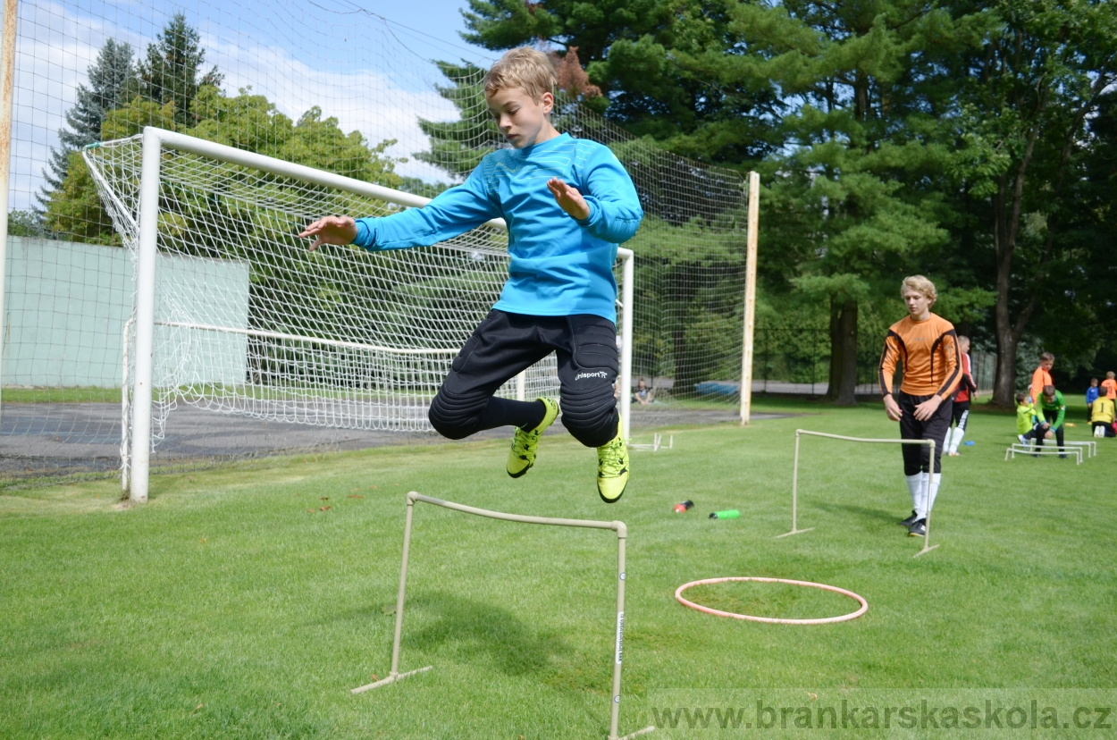 BFŠJCH - Léto 2016 - 29.7.2016