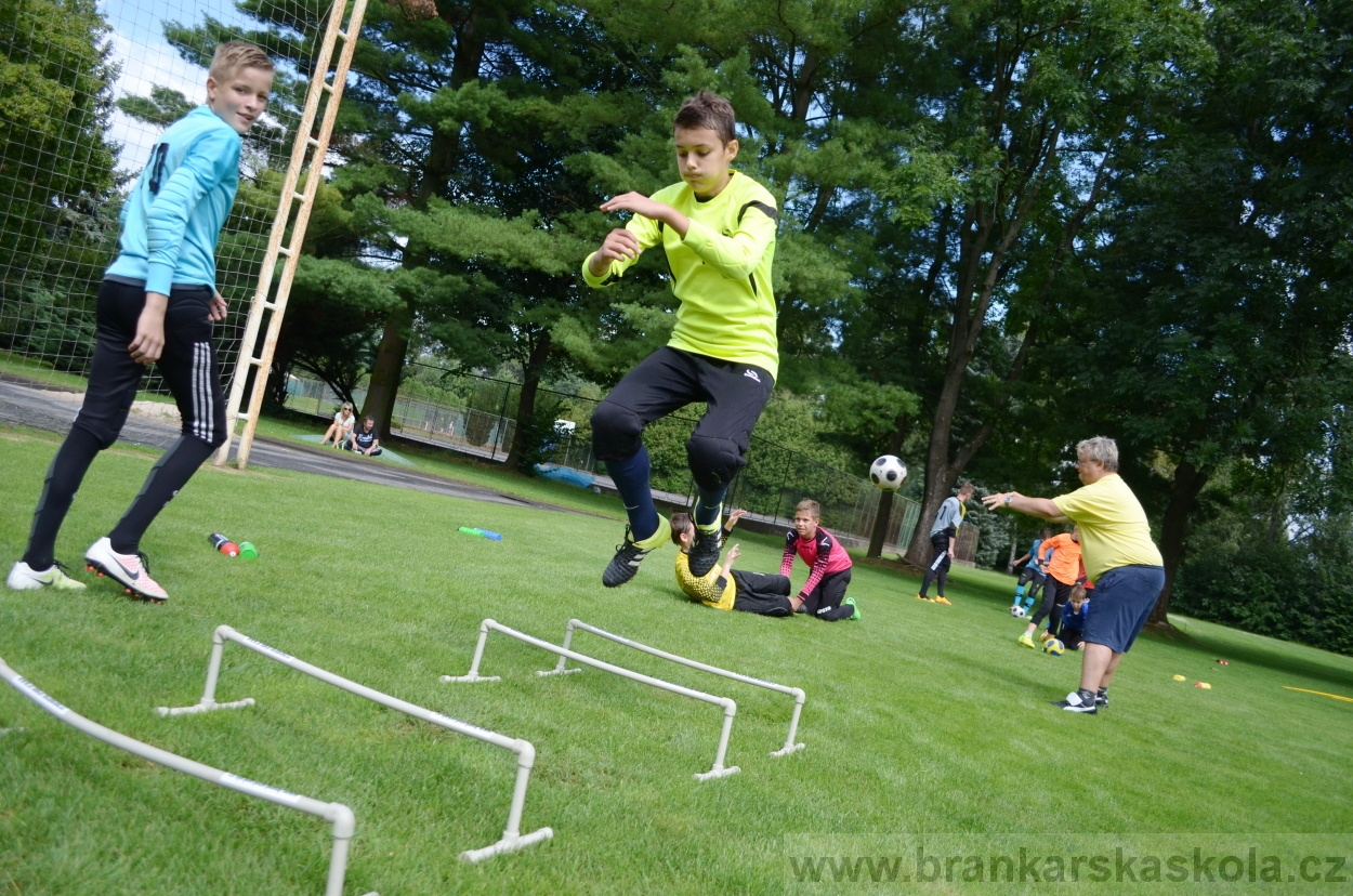 BFŠJCH - Léto 2016 - 29.7.2016