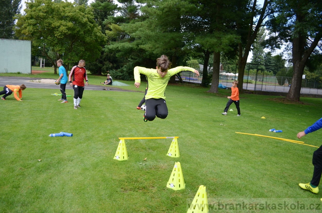 BFŠJCH - Léto 2016 - 29.7.2016