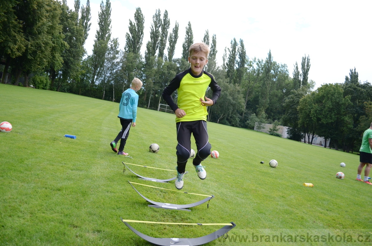 BFŠJCH - Léto 2016 - 29.7.2016