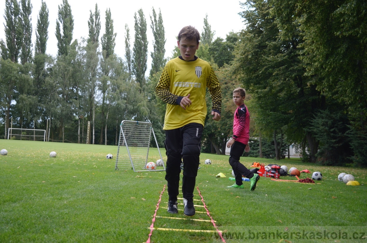 BFŠJCH - Léto 2016 - 29.7.2016