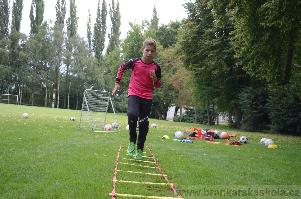 BFŠJCH - Léto 2016 - 29.7.2016