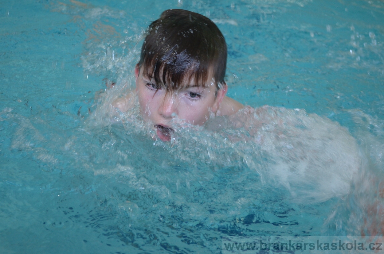 BFŠJCH - Léto 2016 - 29.7.2016