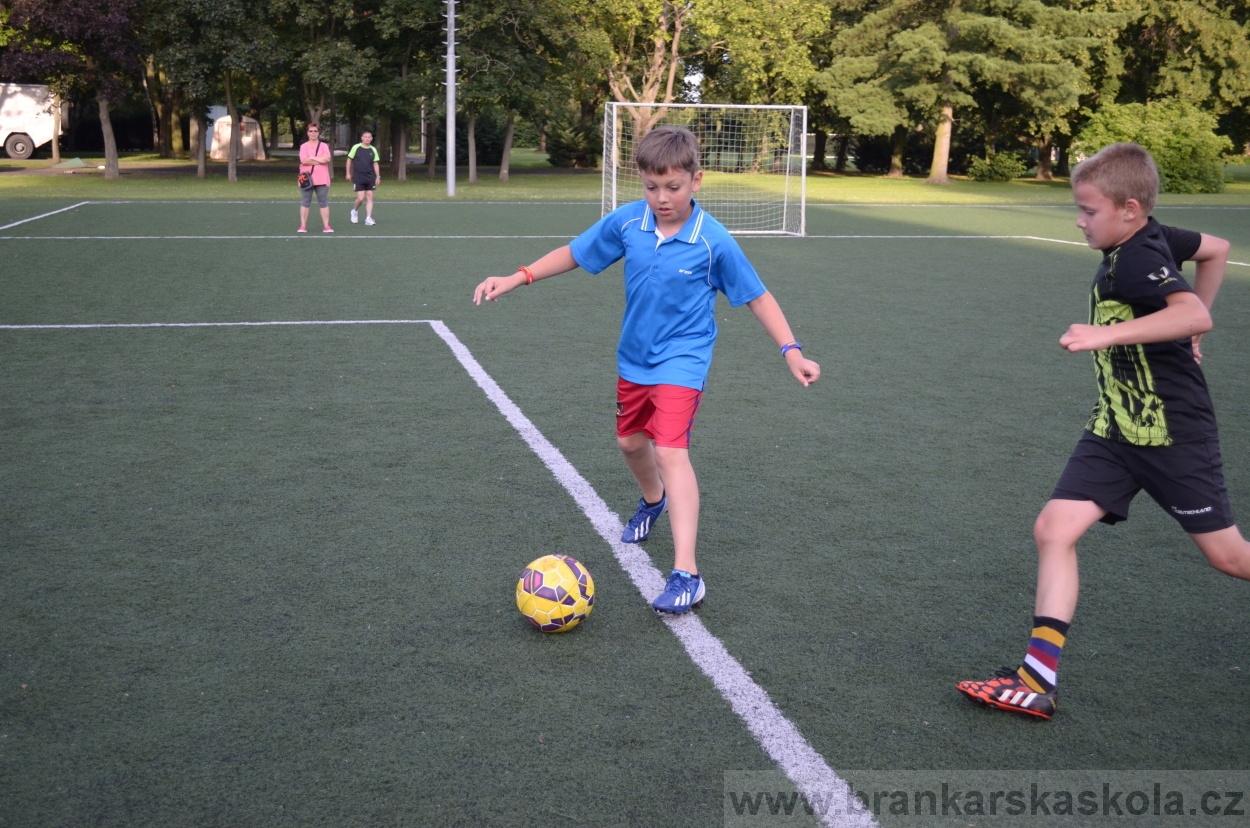 BFŠJCH - Léto 2016 - 29.7.2016