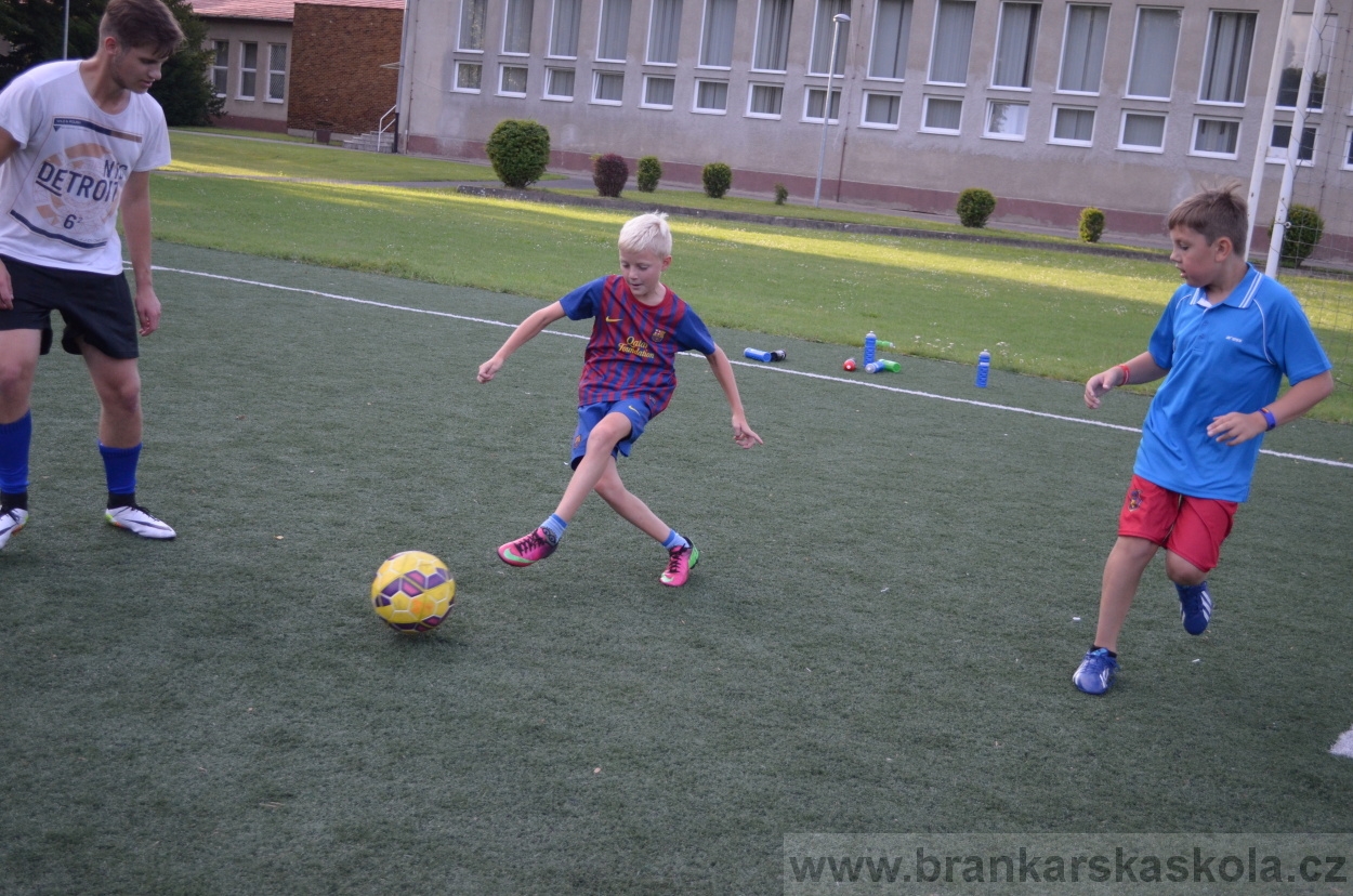 BFŠJCH - Léto 2016 - 29.7.2016