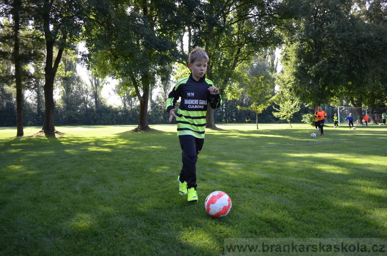 BFŠJCH - Léto 2016 - 30.7.2016