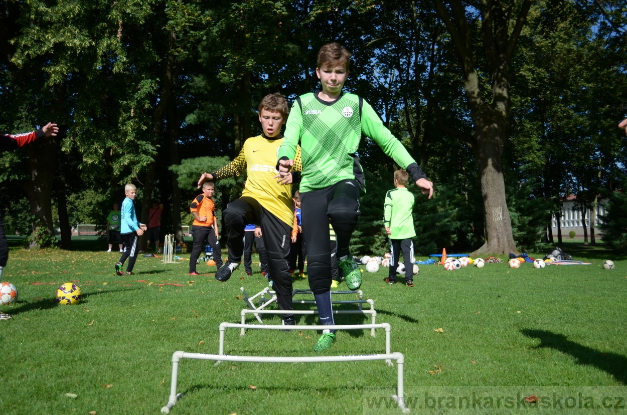 BFŠJCH - Léto 2016 - 30.7.2016