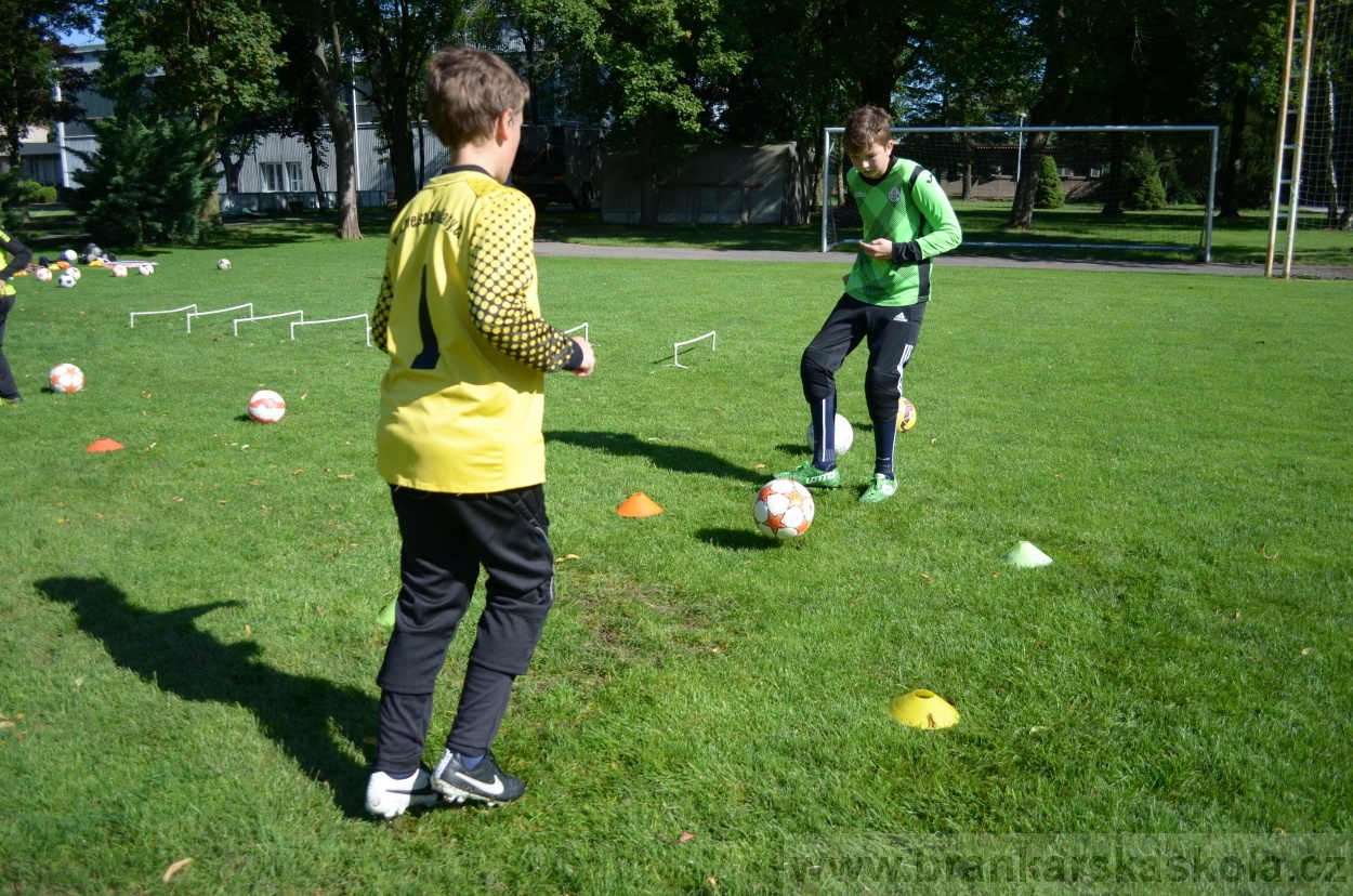 BFŠJCH - Léto 2016 - 30.7.2016