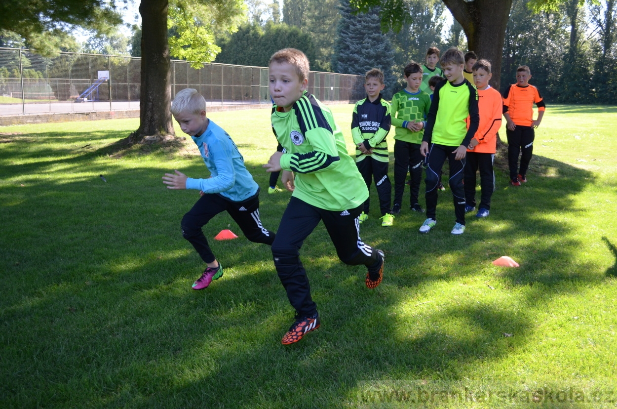 BFŠJCH - Léto 2016 - 30.7.2016
