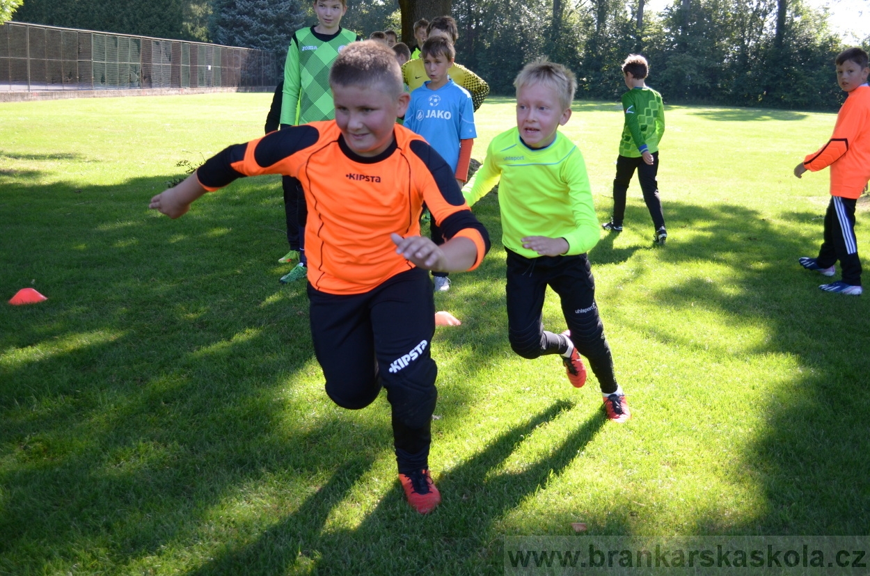 BFŠJCH - Léto 2016 - 30.7.2016