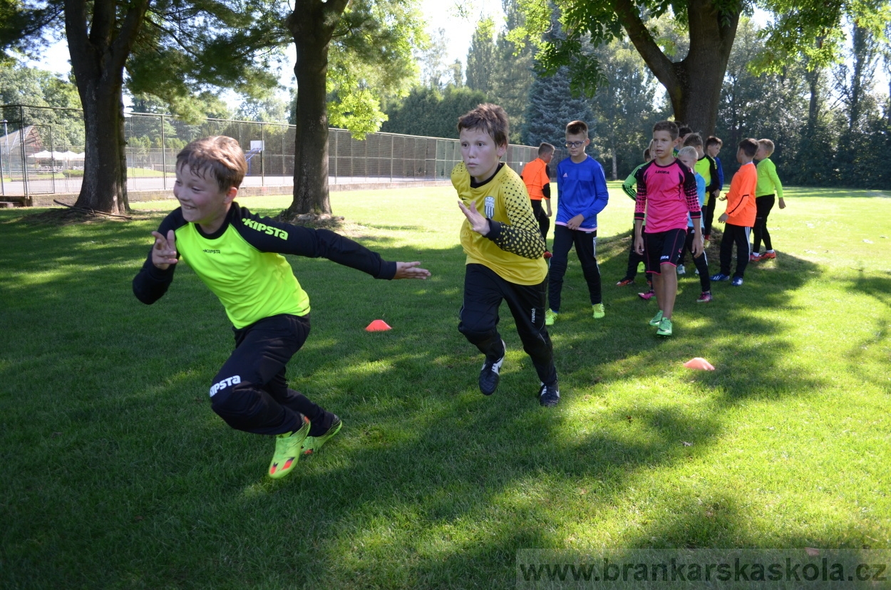 BFŠJCH - Léto 2016 - 30.7.2016
