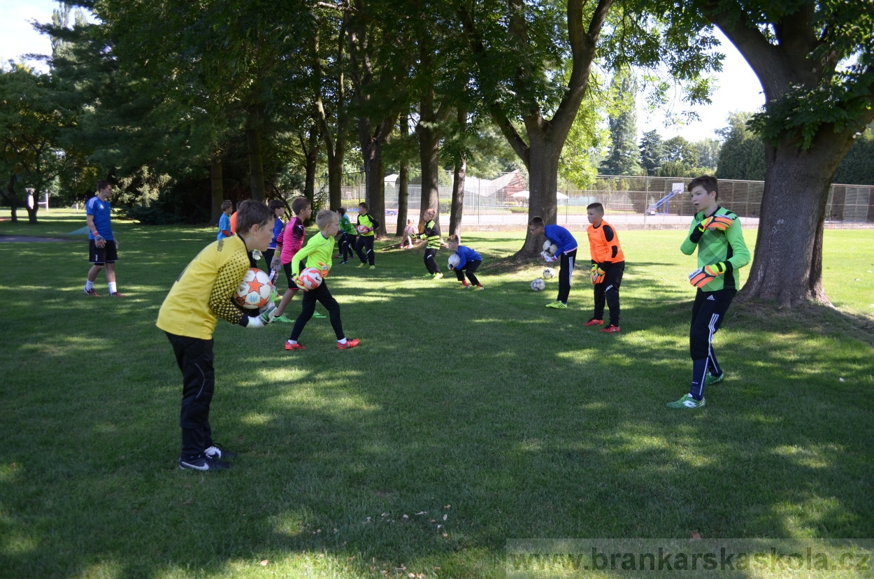 BFŠJCH - Léto 2016 - 30.7.2016