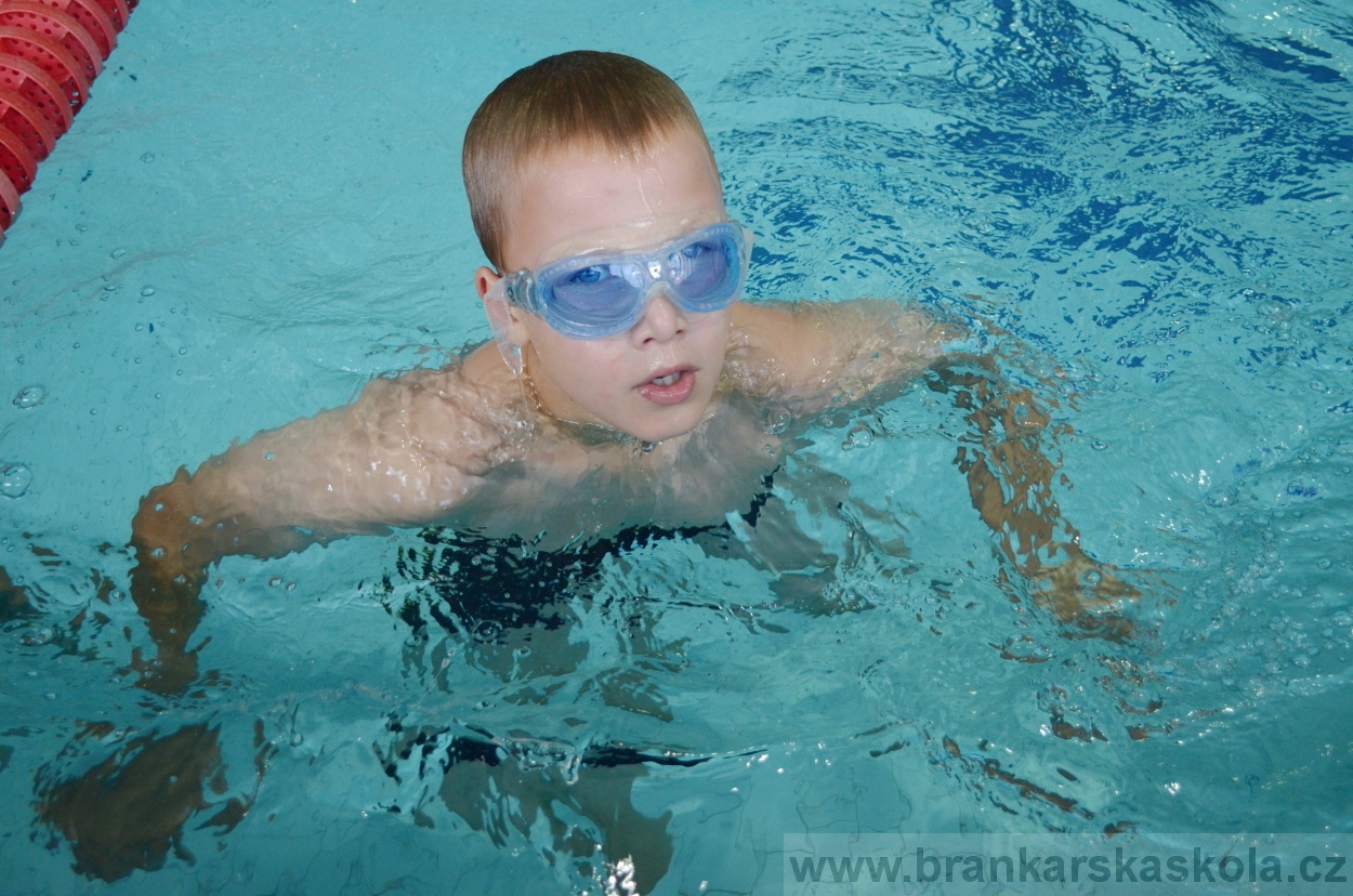 BFŠJCH - Léto 2016 - 30.7.2016