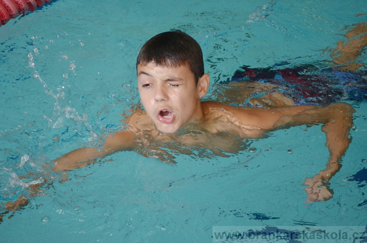 BFŠJCH - Léto 2016 - 30.7.2016