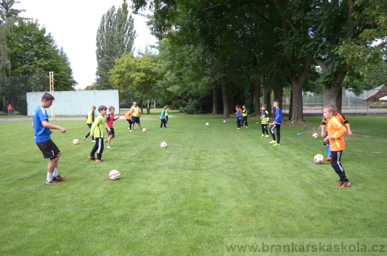 BFŠJCH - Léto 2016 - 30.7.2016