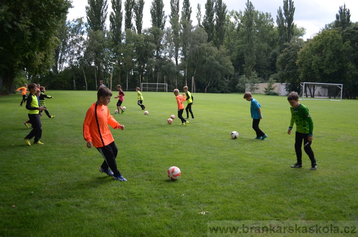 BFŠJCH - Léto 2016 - 30.7.2016