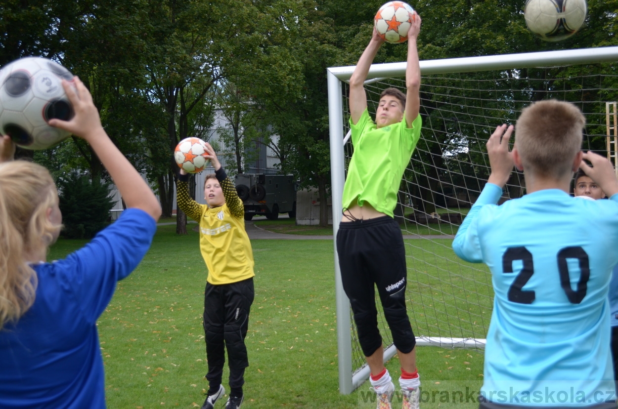 BFŠJCH - Léto 2016 - 30.7.2016