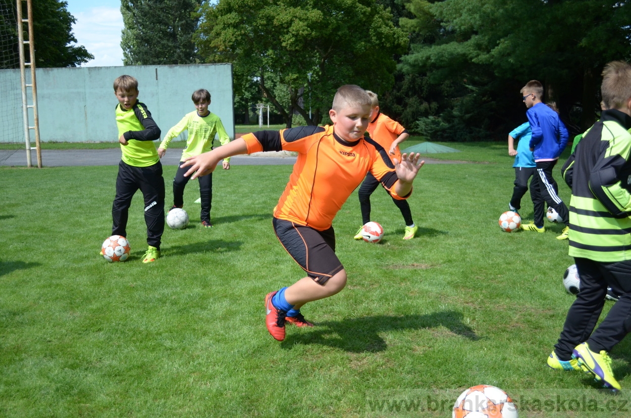 BFŠJCH - Léto 2016 - 30.7.2016