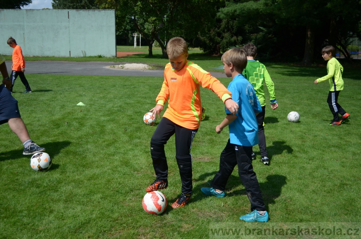 BFŠJCH - Léto 2016 - 30.7.2016