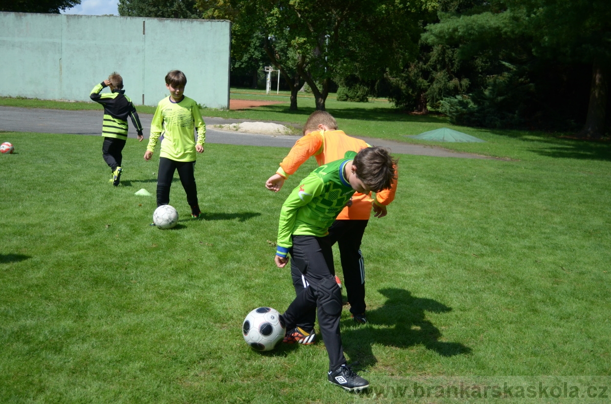 BFŠJCH - Léto 2016 - 30.7.2016