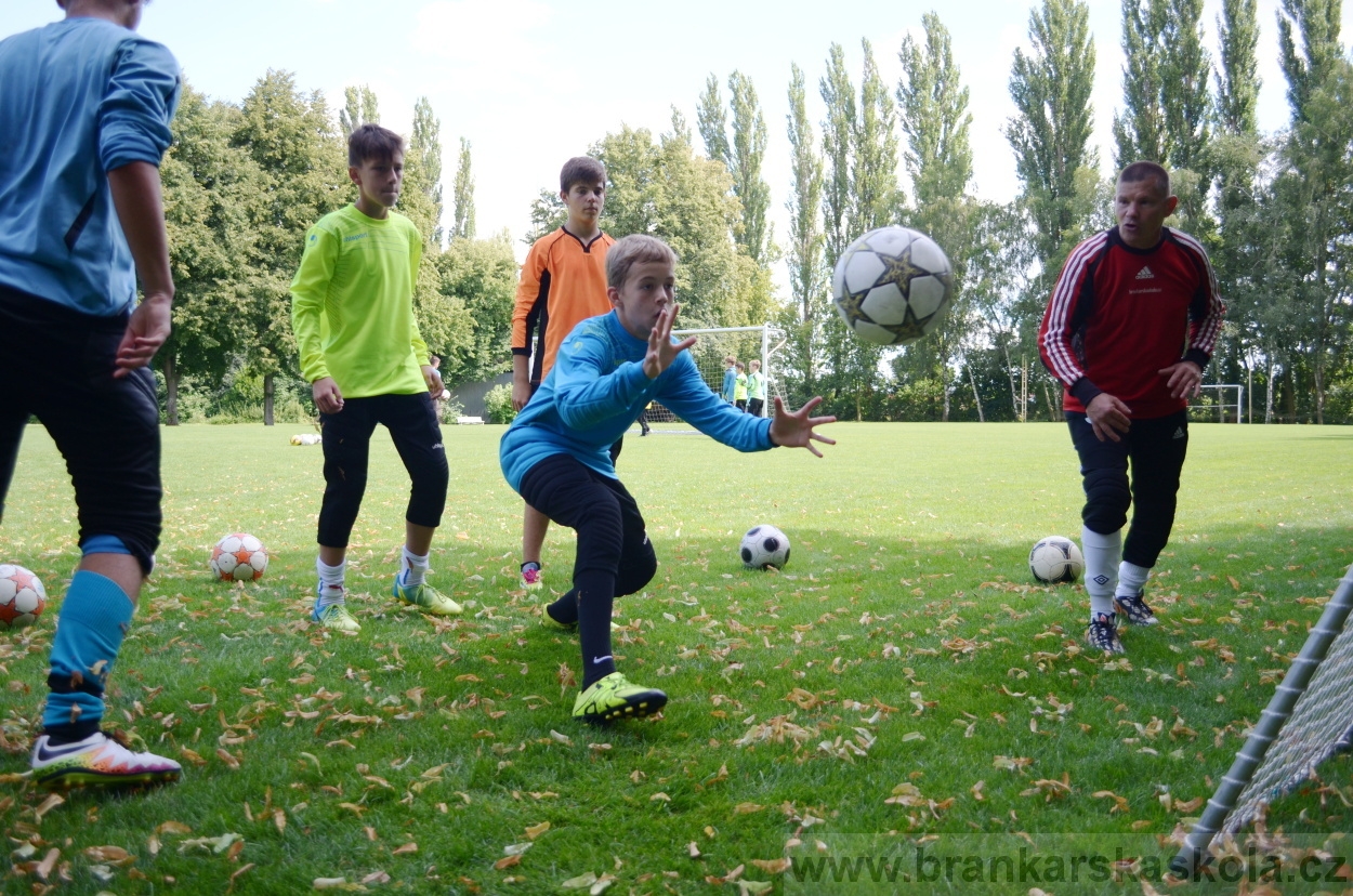 BFŠJCH - Léto 2016 - 30.7.2016