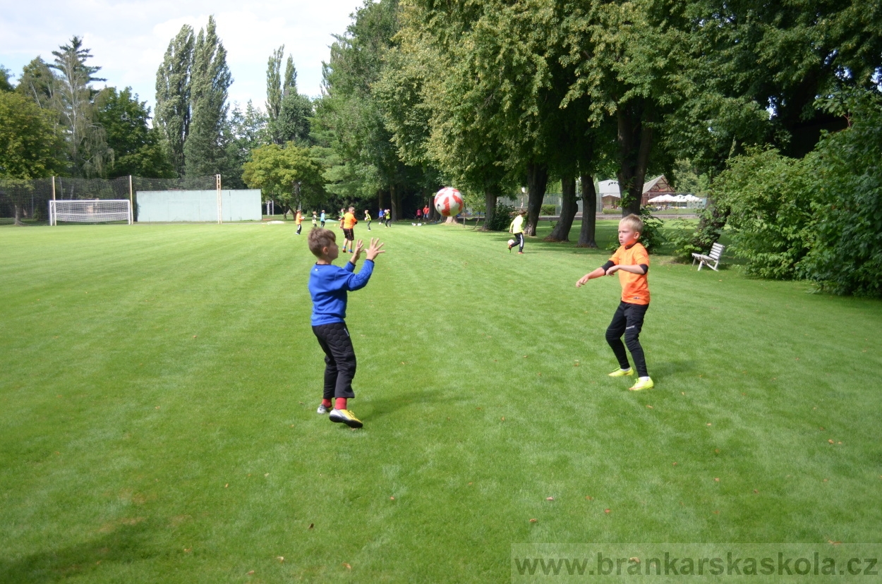 BFŠJCH - Léto 2016 - 30.7.2016