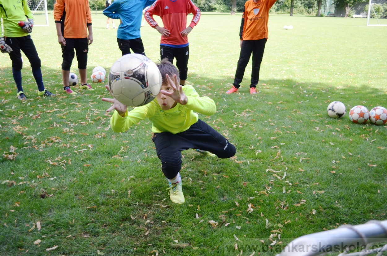 BFŠJCH - Léto 2016 - 30.7.2016