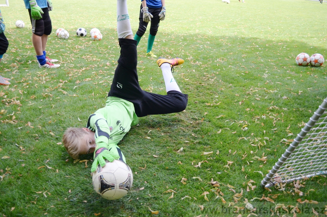 BFŠJCH - Léto 2016 - 30.7.2016