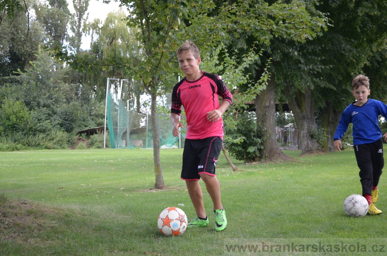 BFŠJCH - Léto 2016 - 30.7.2016