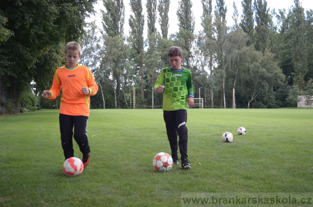 BFŠJCH - Léto 2016 - 30.7.2016