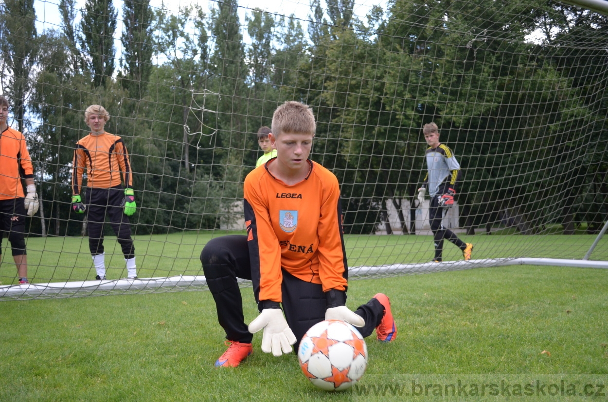 BFŠJCH - Léto 2016 - 30.7.2016