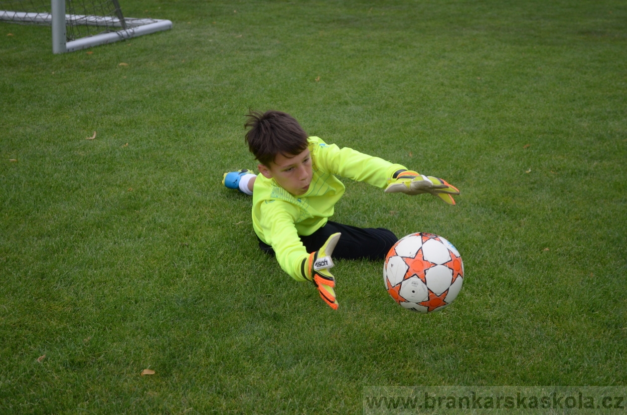 BFŠJCH - Léto 2016 - 30.7.2016