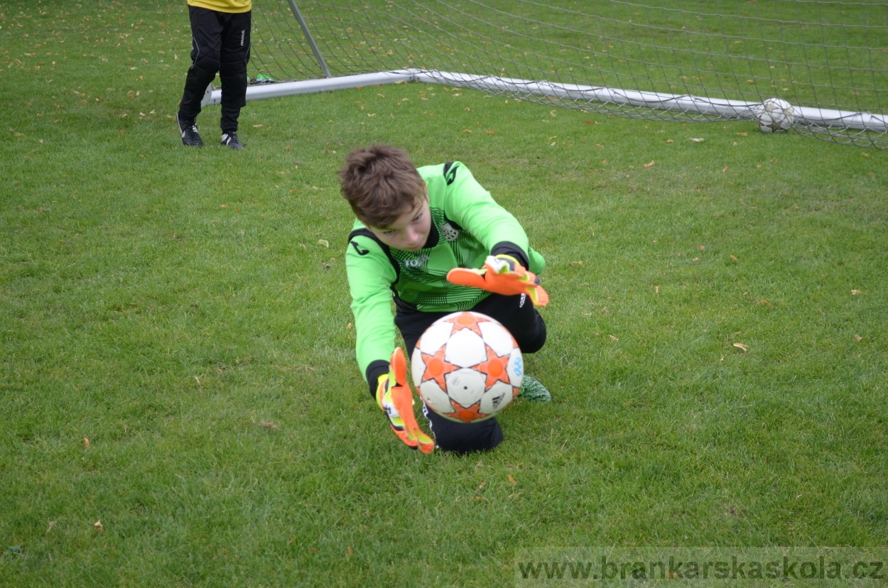 BFŠJCH - Léto 2016 - 30.7.2016