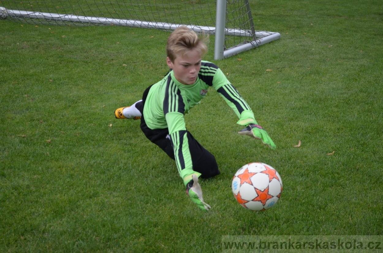 BFŠJCH - Léto 2016 - 30.7.2016