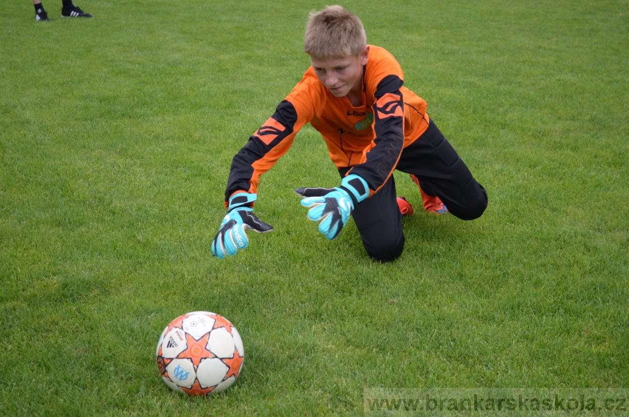 BFŠJCH - Léto 2016 - 30.7.2016